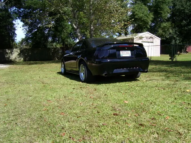 mustang2025.webp