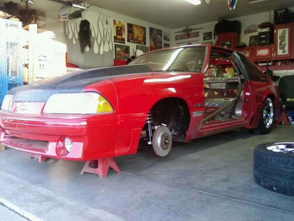 mustang21.webp