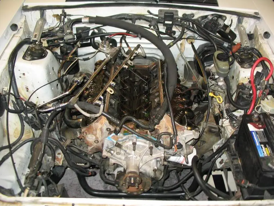 mustang210.webp