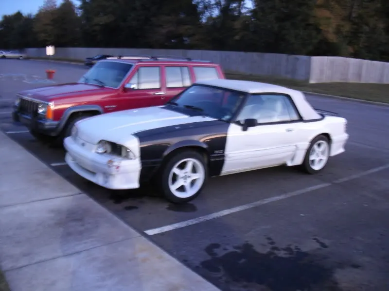 mustang215.webp