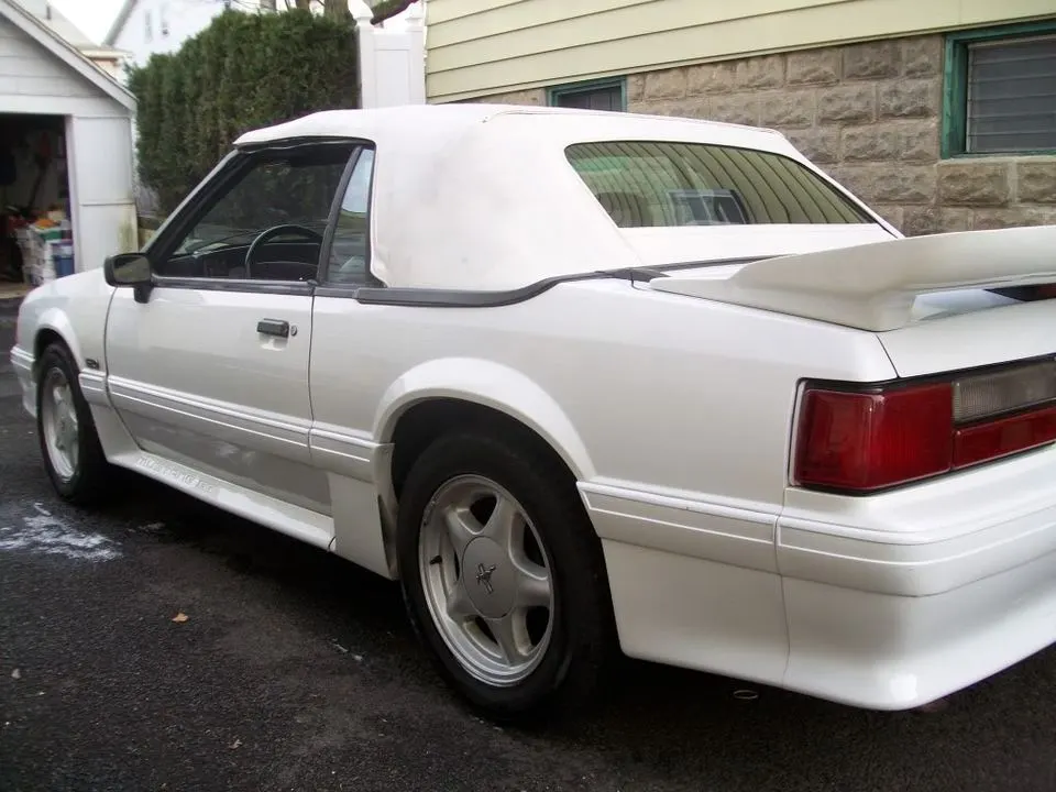 mustang2466.webp