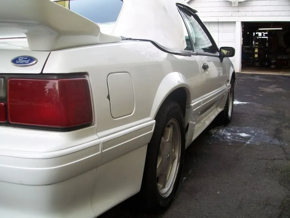 mustang2468.webp