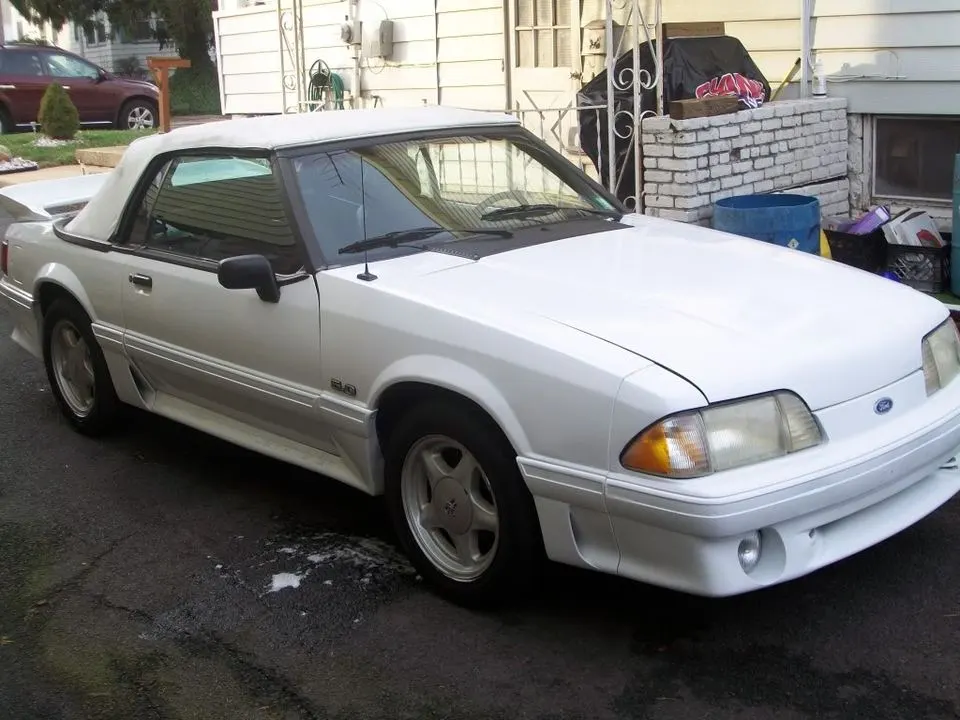 mustang2469.webp