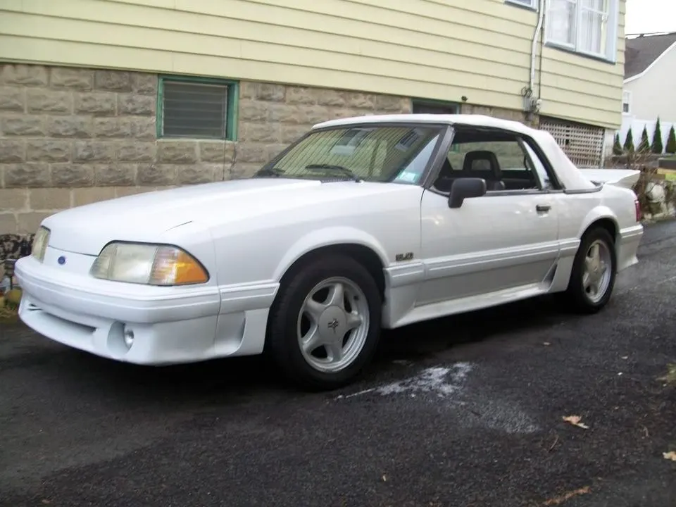 mustang2470.webp