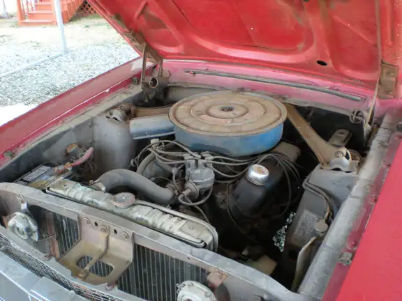 Mustang289.webp