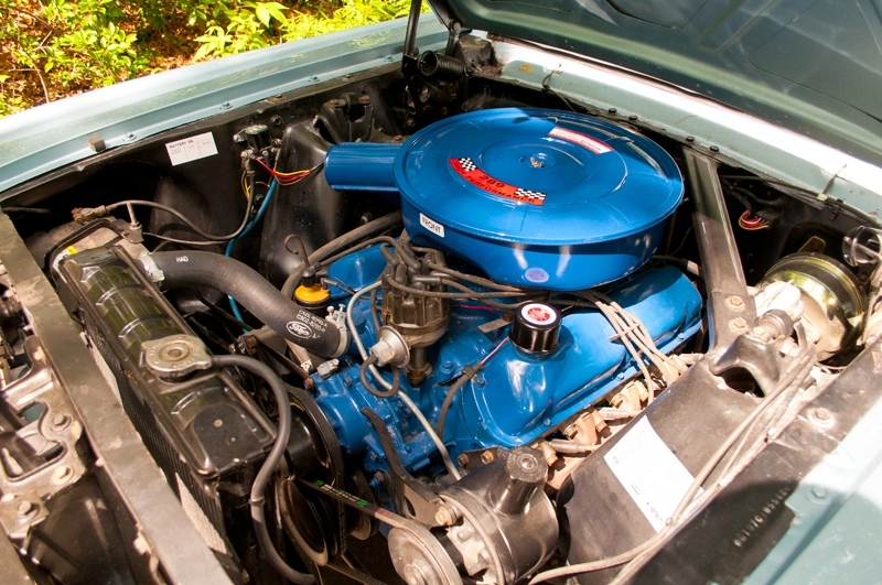 Mustang289.webp