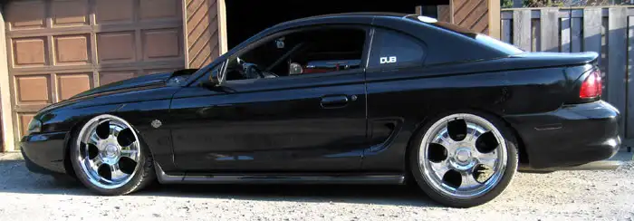 mustang29ku.webp