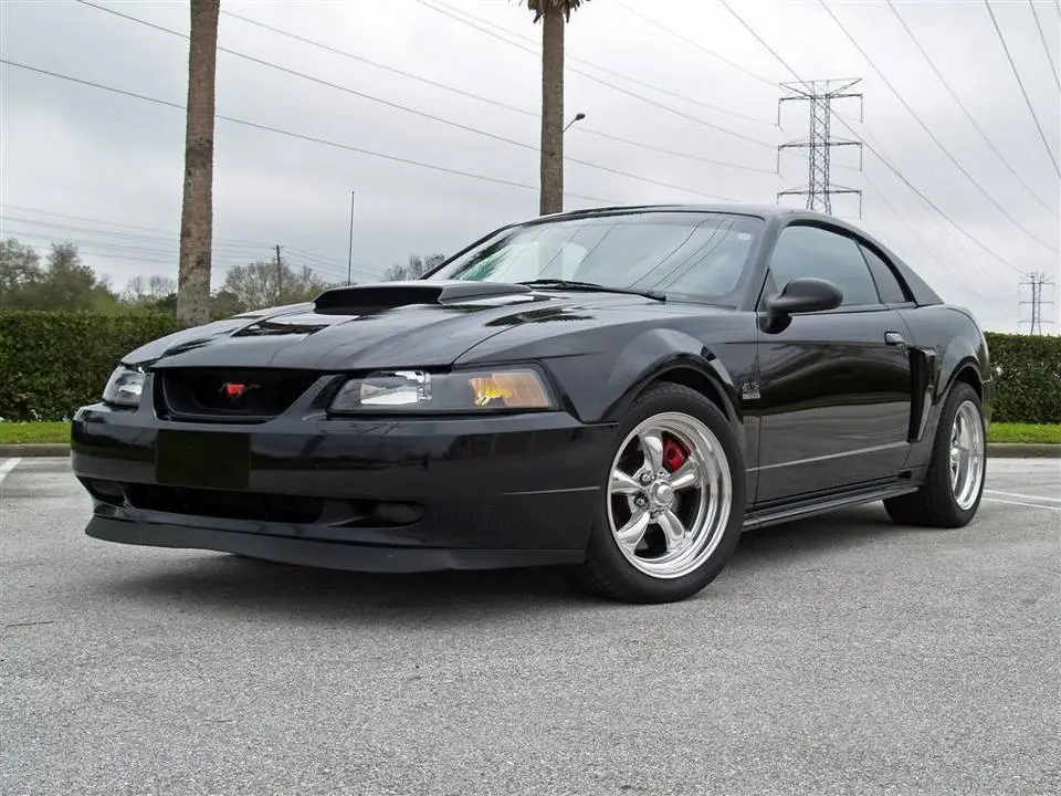 Mustang2Large.webp