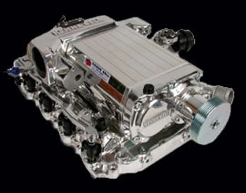 mustang2V.webp