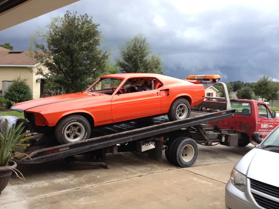 mustang3.webp
