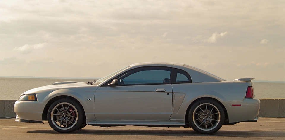mustang3.webp