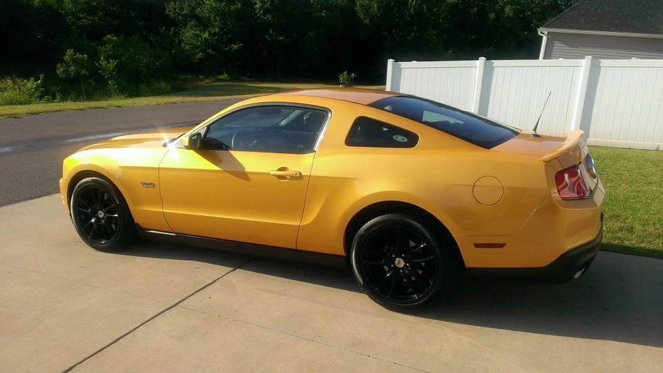 Mustang3.webp