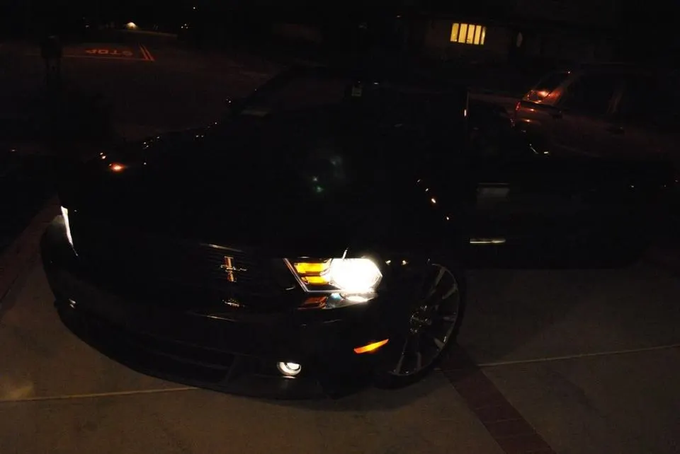 mustang3.webp