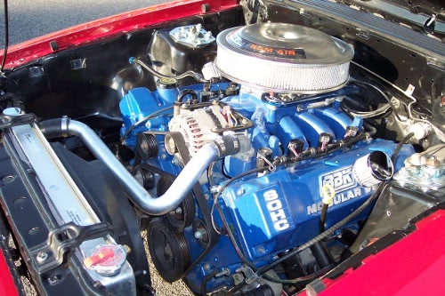 mustang3.webp