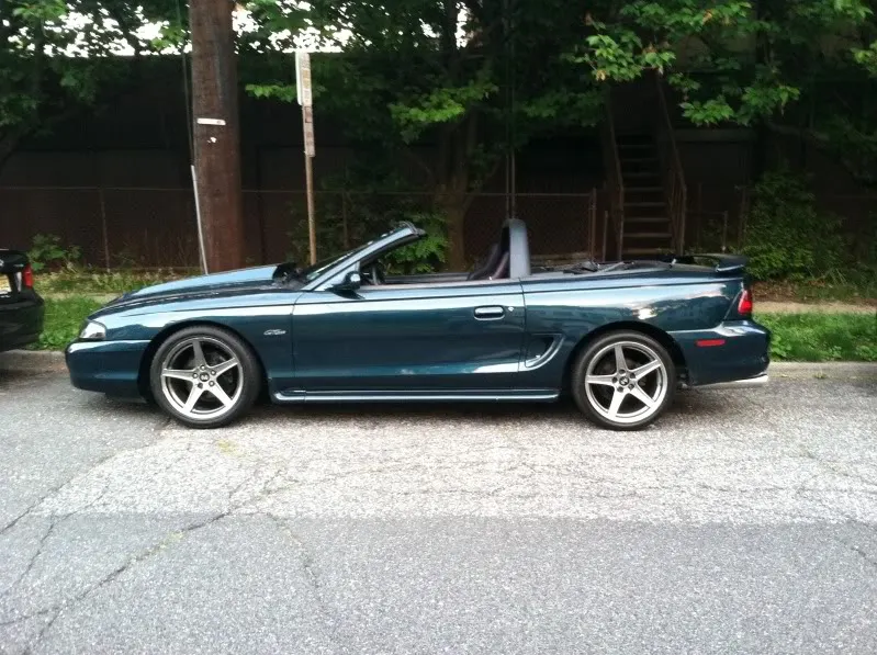 Mustang3.webp