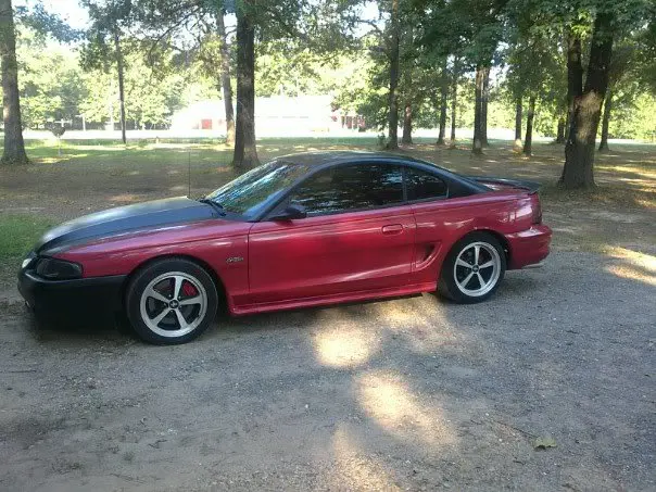 mustang3.webp