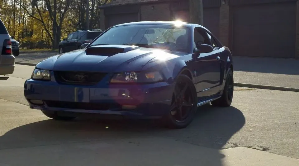mustang3.webp