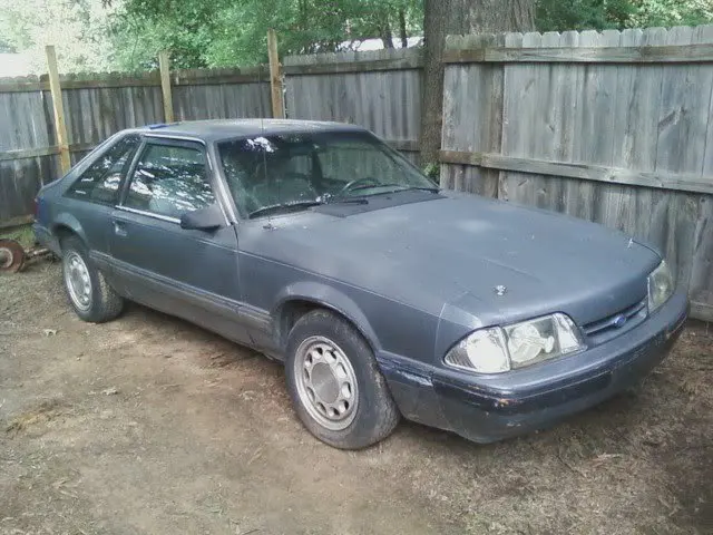 mustang3.webp