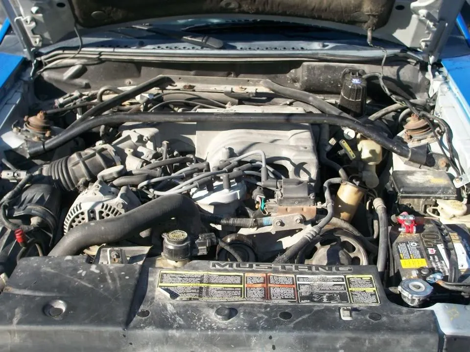mustang3.webp