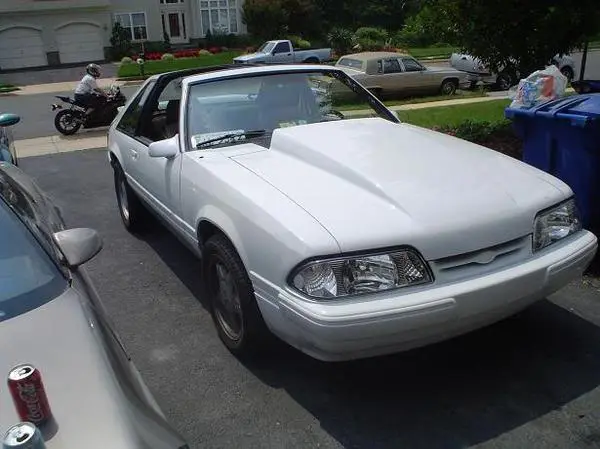 mustang3.webp