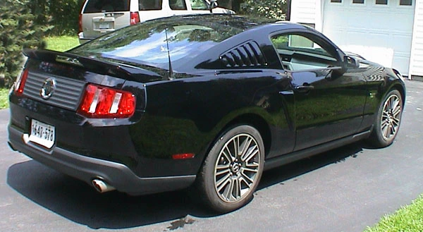 mustang3.webp