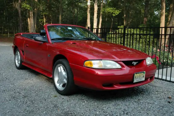 mustang3.webp