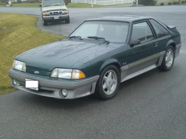 mustang3.webp