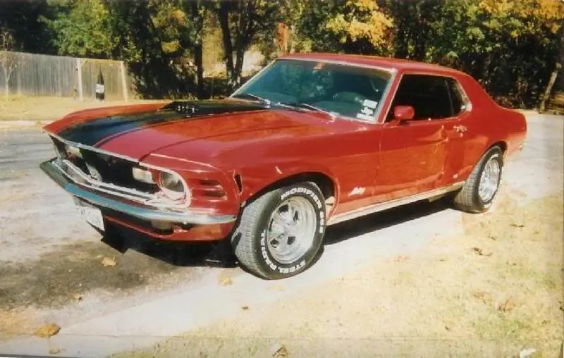 mustang3.webp