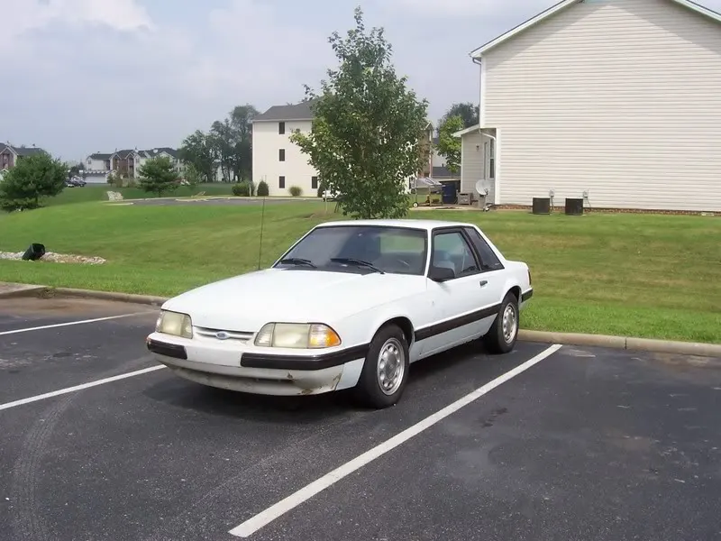 mustang3.webp