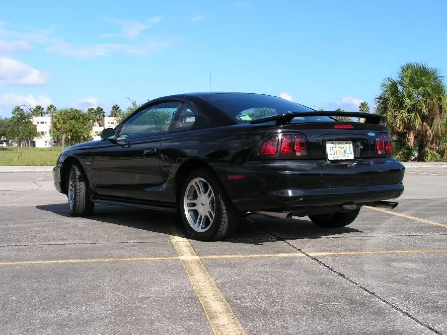 mustang3.webp