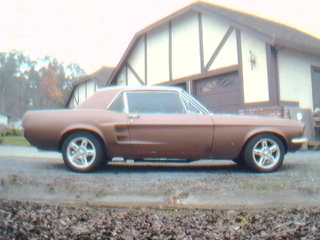mustang3.webp