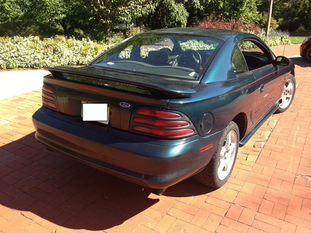 mustang3.webp