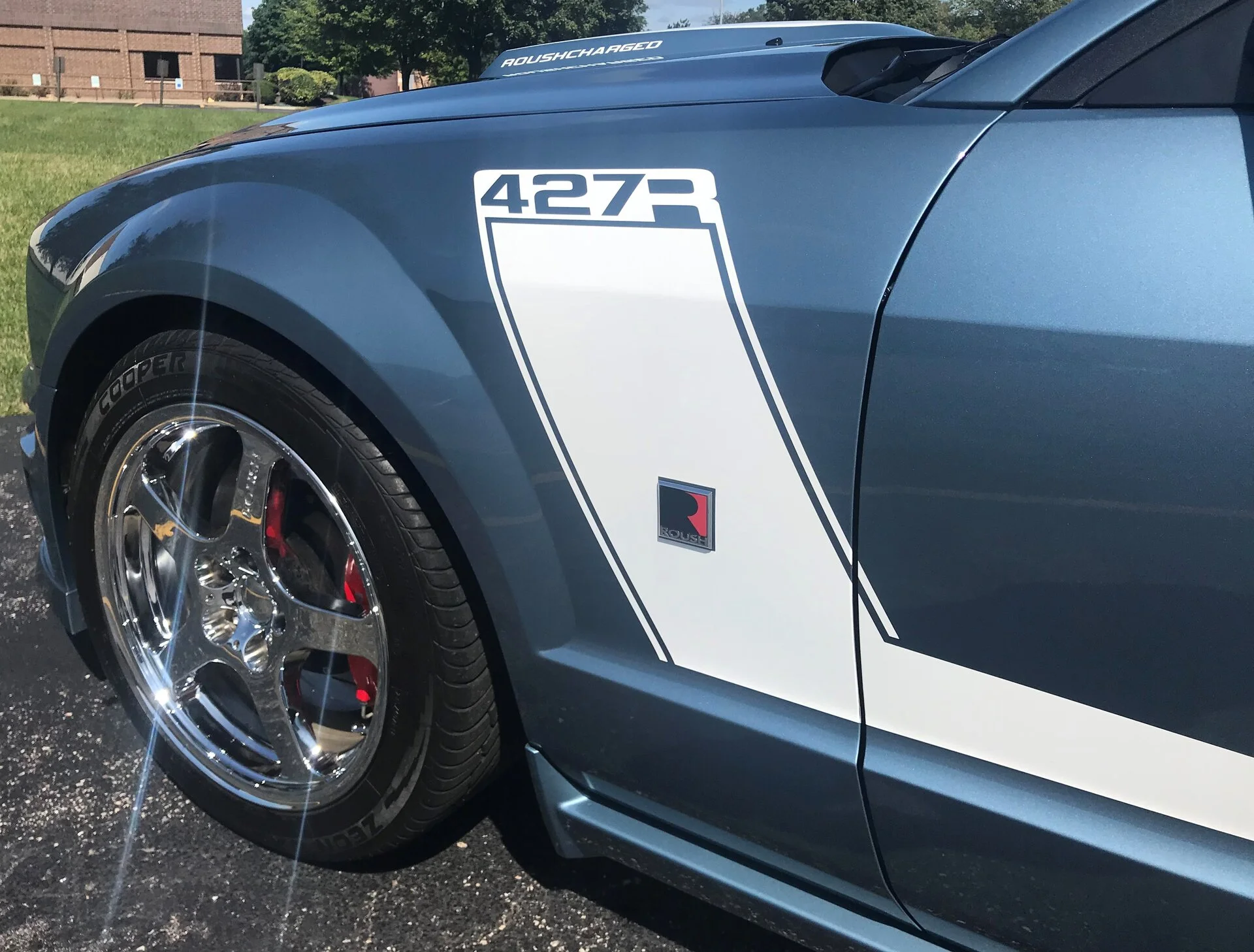 Mustang3.webp