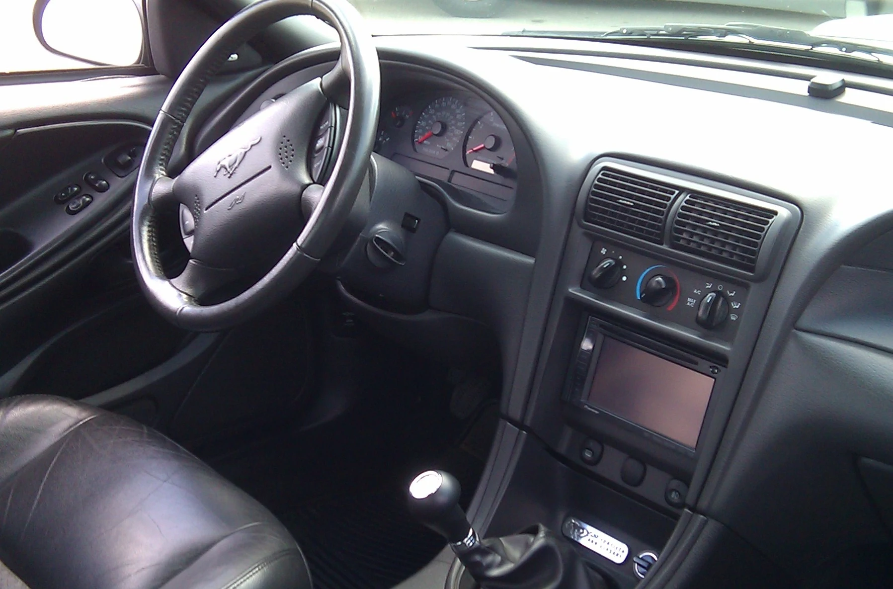 MUSTANG3.webp