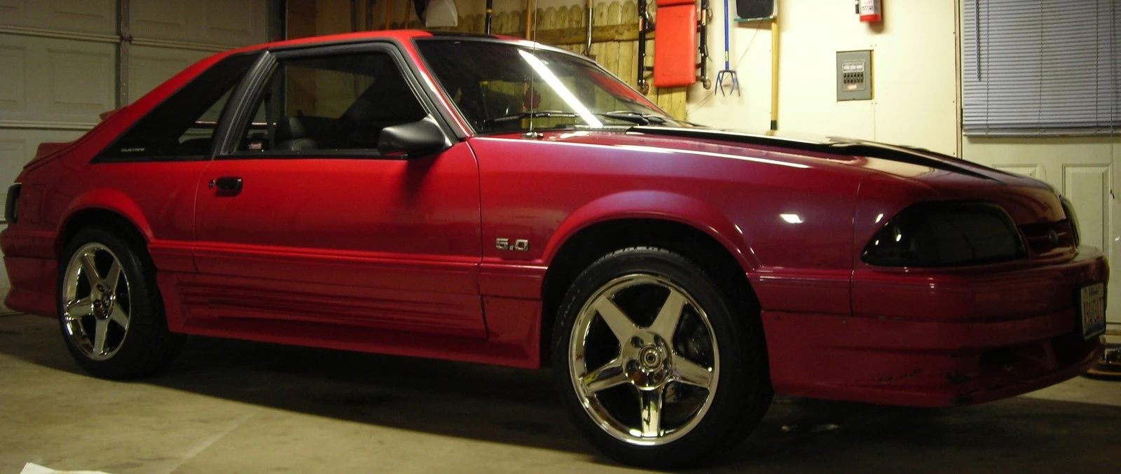 mustang3.webp
