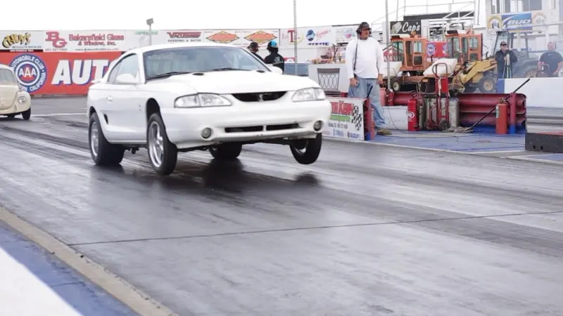 mustang3.webp