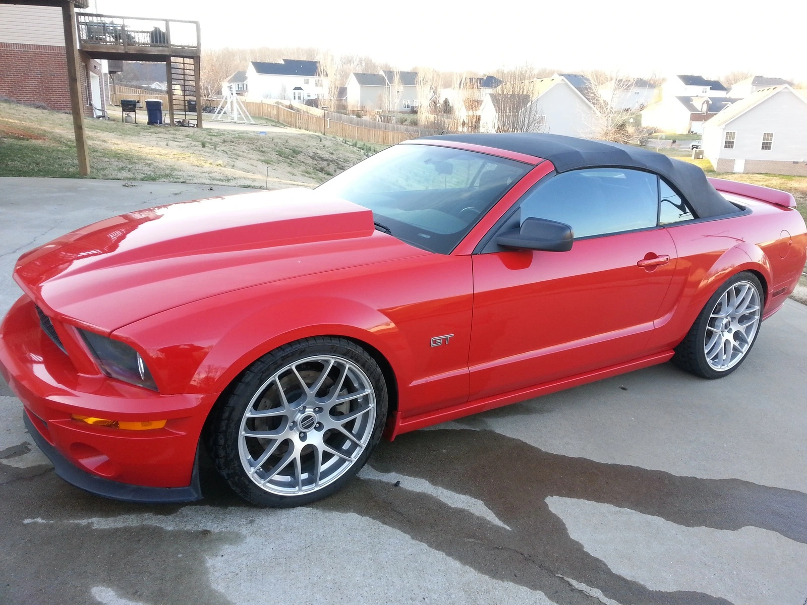 mustang3.webp