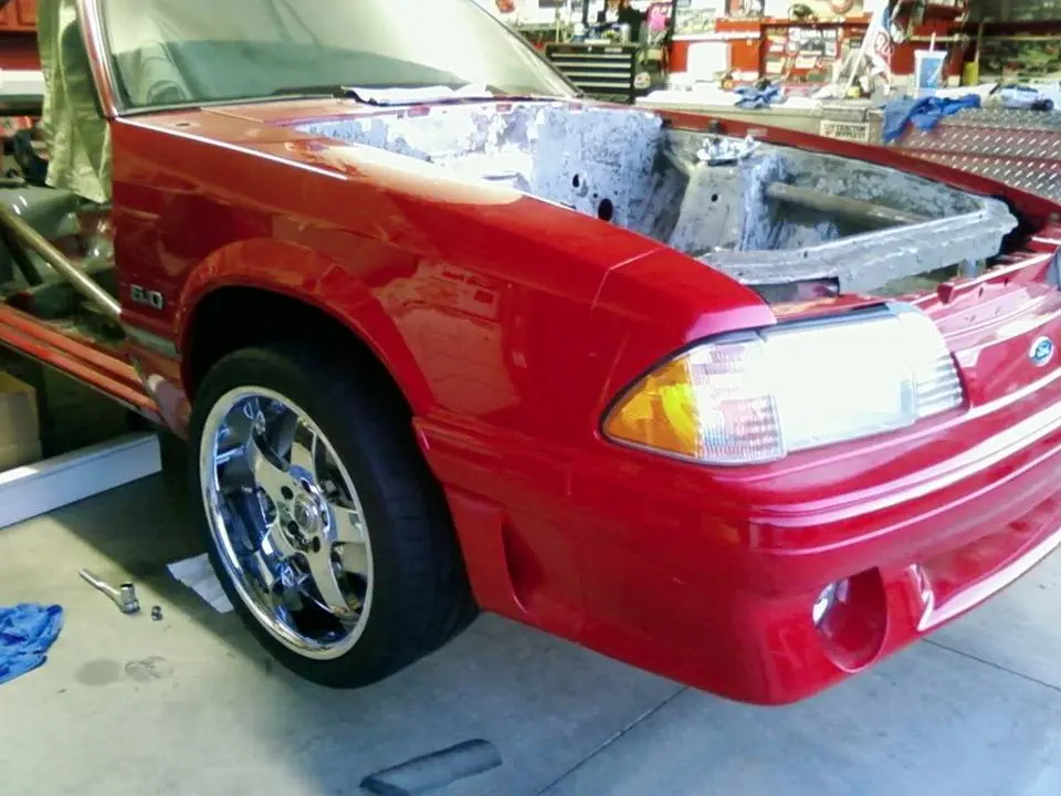 mustang30.webp
