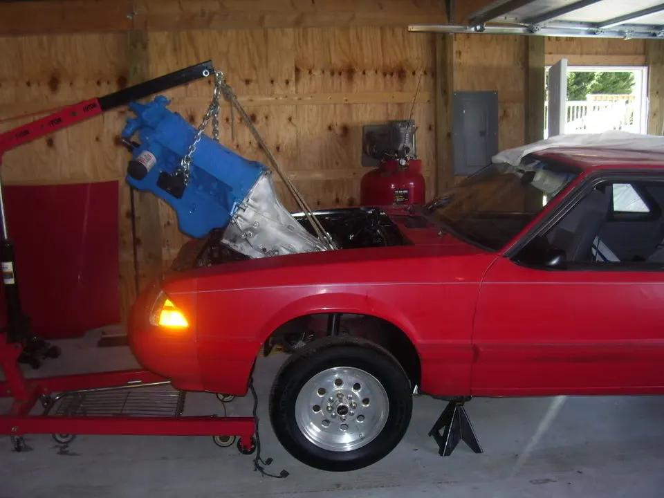 mustang303009.webp