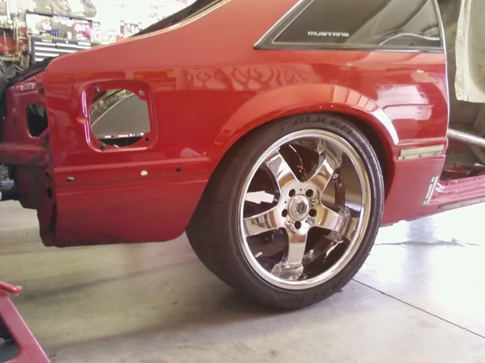 mustang31.webp