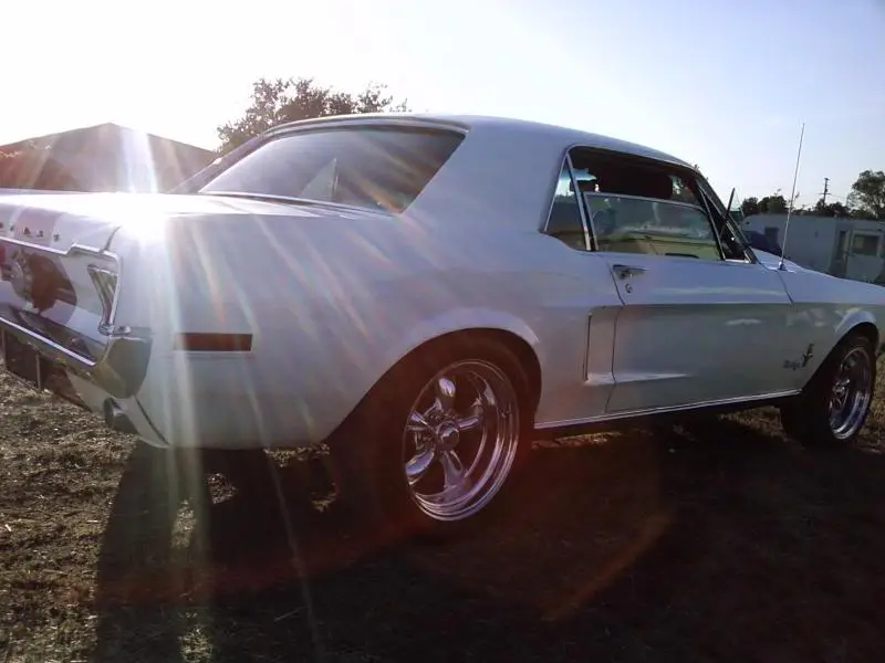 mustang33.webp