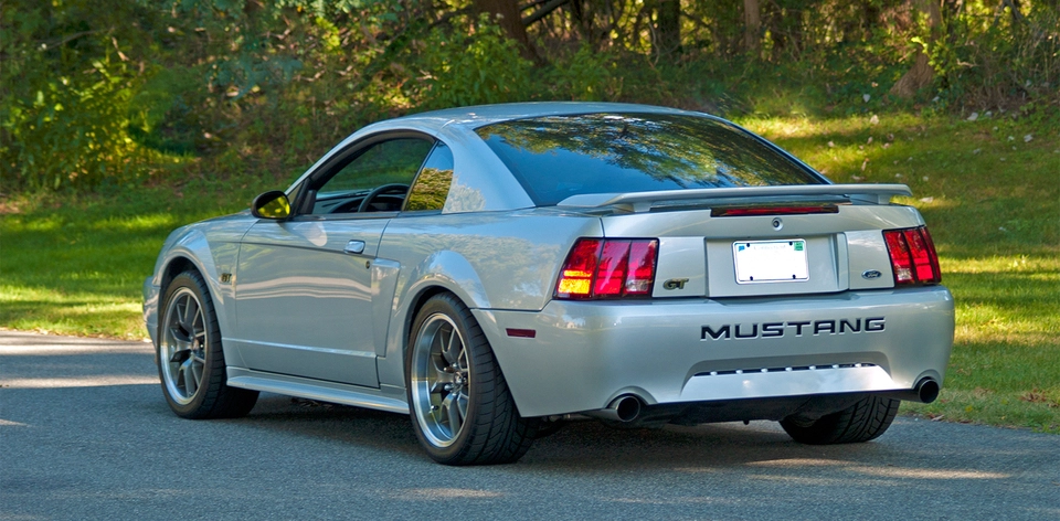 mustang4.webp