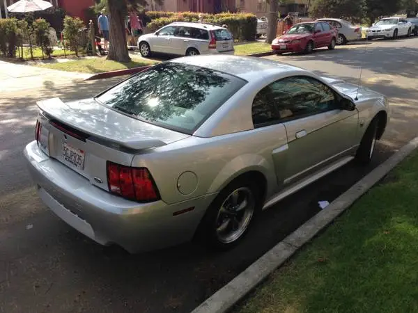 mustang4.webp