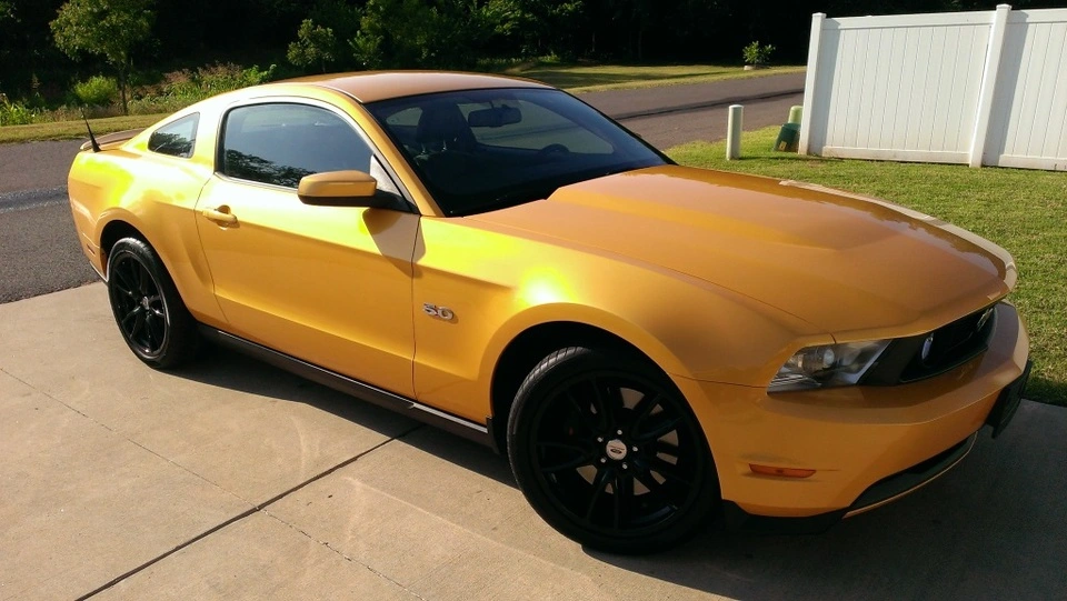 Mustang4.webp
