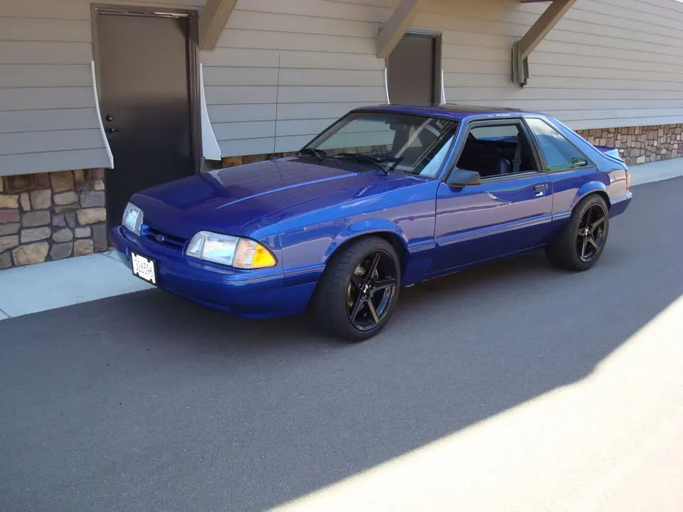 mustang4.webp