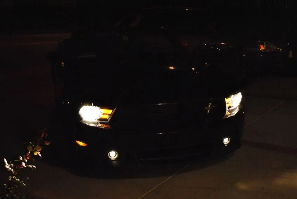 mustang4.webp