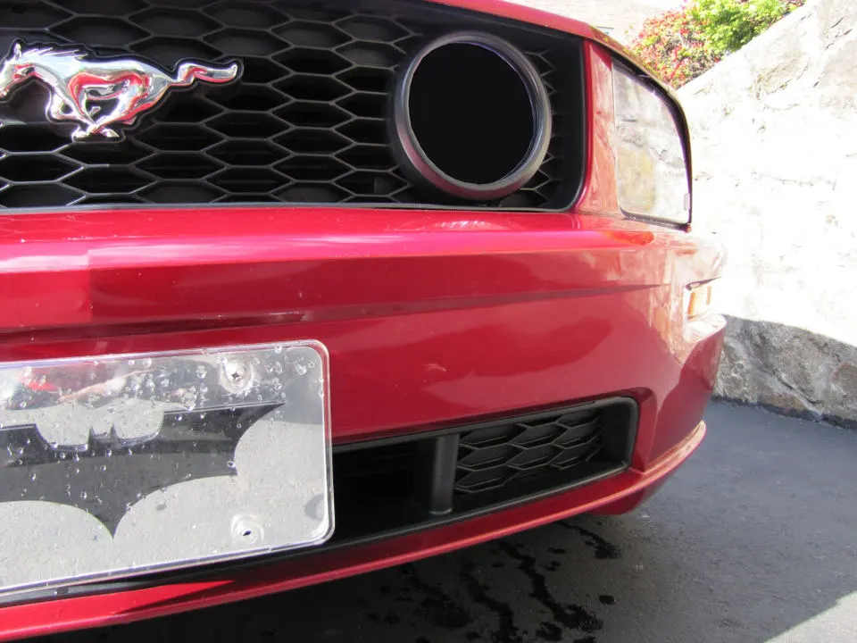 mustang4.webp