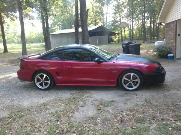 mustang4.webp