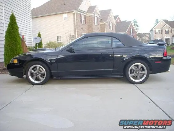 mustang4.webp