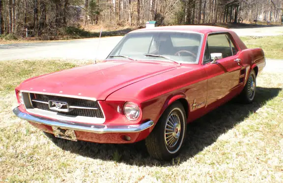 Mustang4.webp
